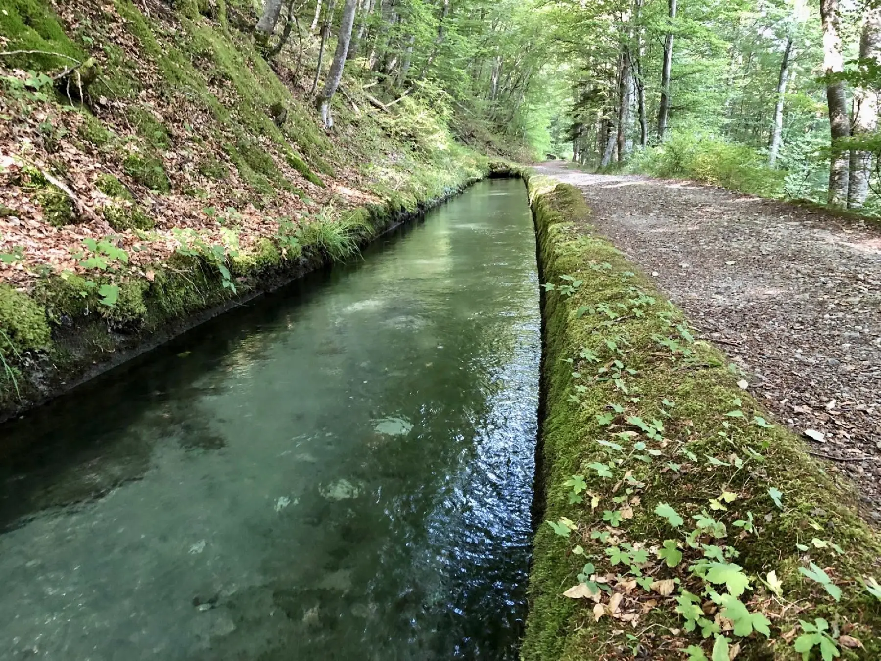 Ruisseau en forêt près du Valbonnais